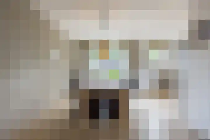 Hoepmaker 14 Papendrecht thumbnail 9