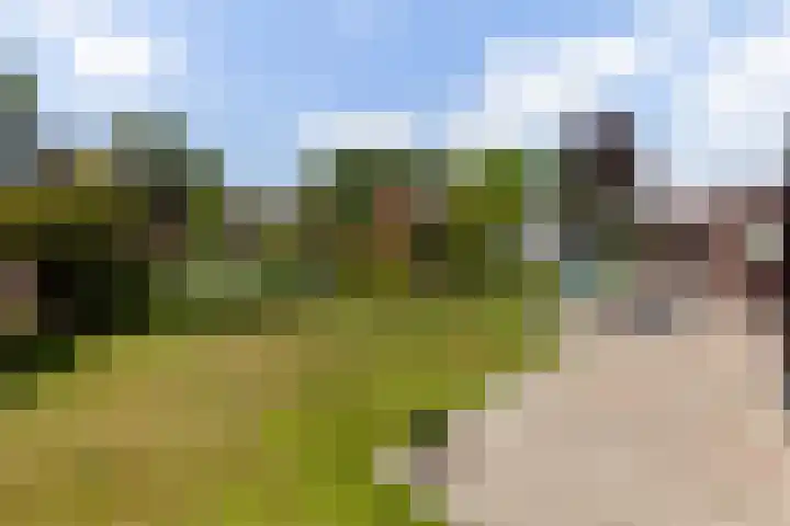 Hoepmakerspad 6 Hardinxveld-Giessendam thumbnail 36