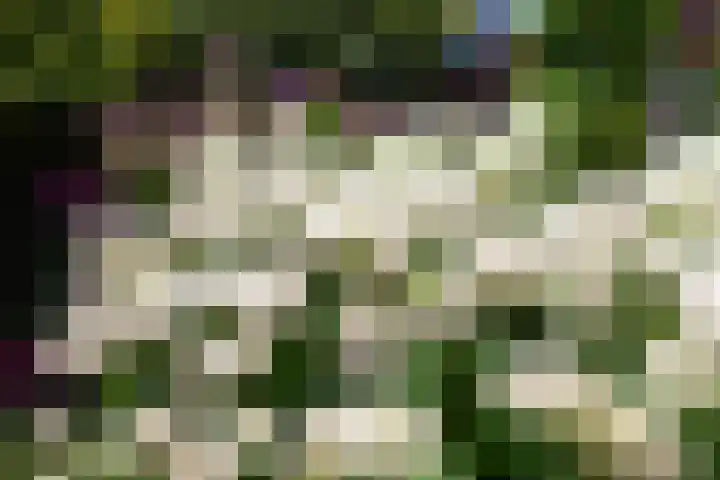 Hoepmakerspad 6 Hardinxveld-Giessendam thumbnail 38