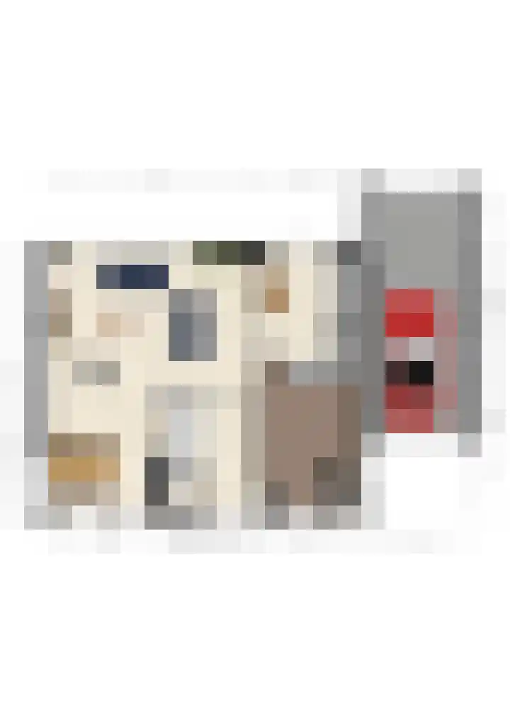 Hoepmakerspad 6 Hardinxveld-Giessendam thumbnail 45