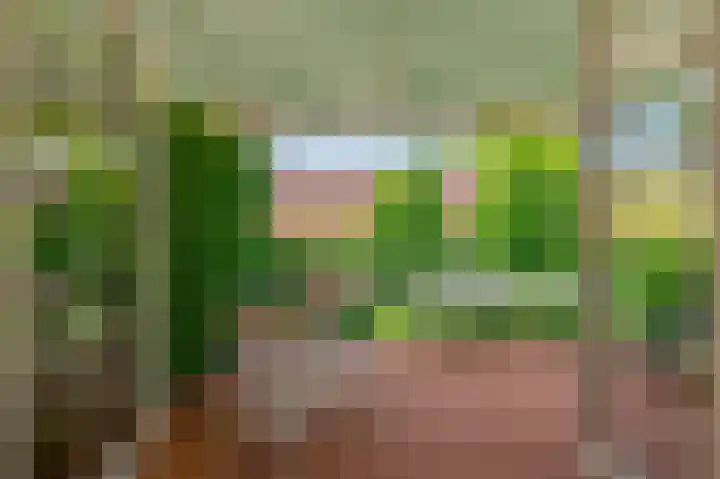 Hoethslaan 32 B Heiligerlee thumbnail 21