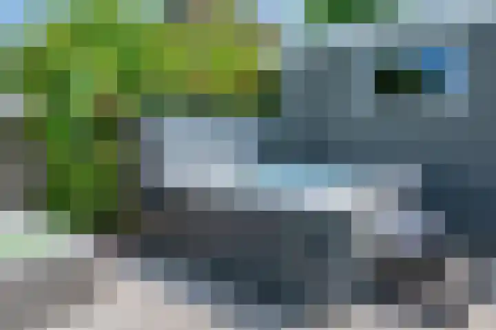 Hoethslaan 32 B Heiligerlee thumbnail 48