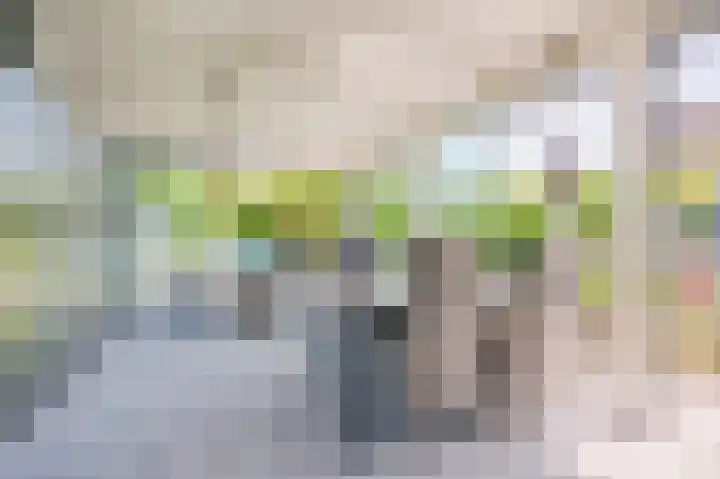 Hoethslaan 32 B Heiligerlee thumbnail 64