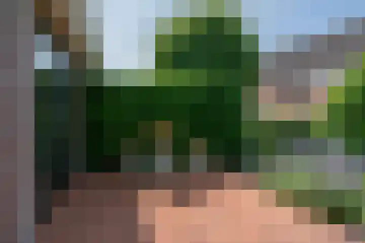 Hoethslaan 32 B Heiligerlee thumbnail 74