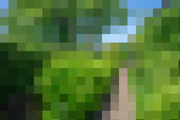Hoethslaan 32 B Heiligerlee thumbnail 92