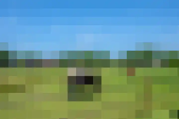 Hoethslaan 32 B Heiligerlee thumbnail 93