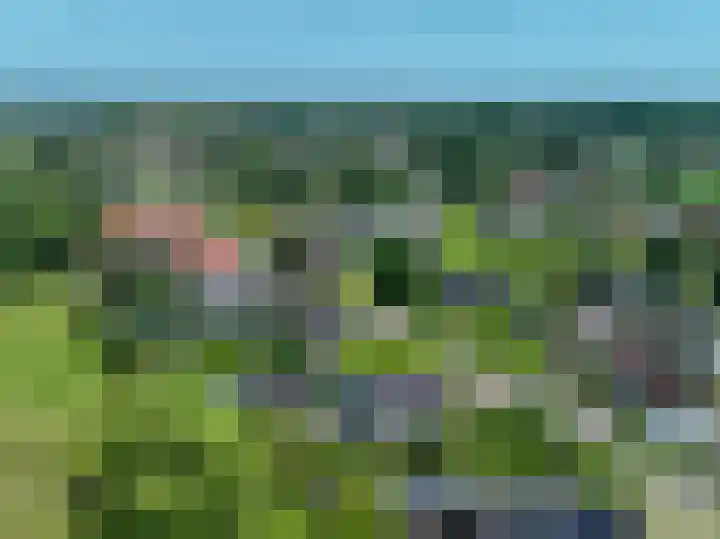 Hoethslaan 32 B Heiligerlee thumbnail 96