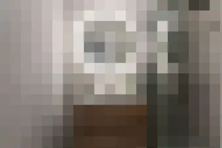 Hoevelaan 5 Monster thumbnail 15
