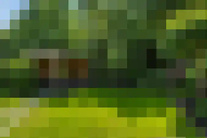 Hoevelaan 5 Monster thumbnail 16