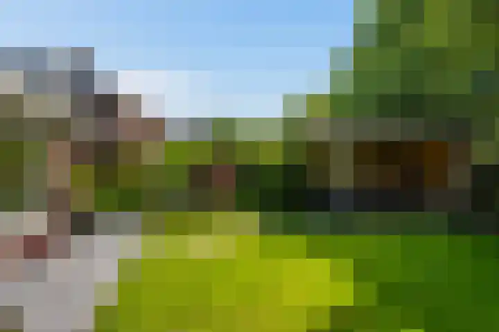 Hoevelaan 5 Monster thumbnail 17
