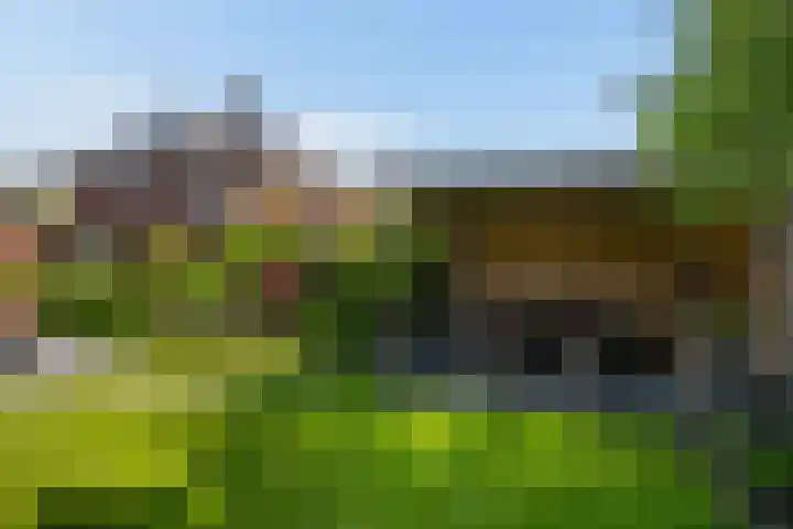 Hoevelaan 5 Monster thumbnail 18