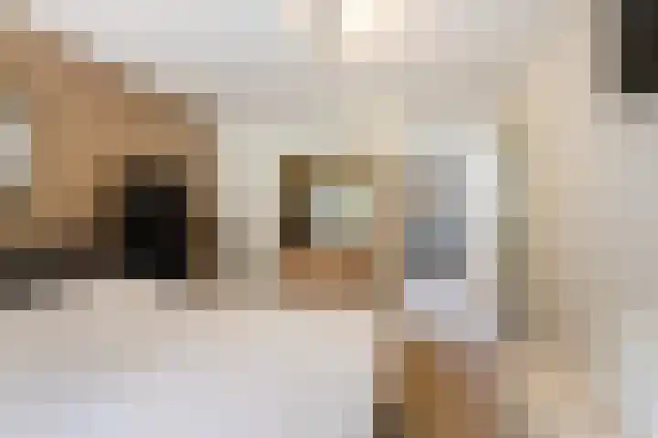 Hoevelaan 5 Monster thumbnail 25