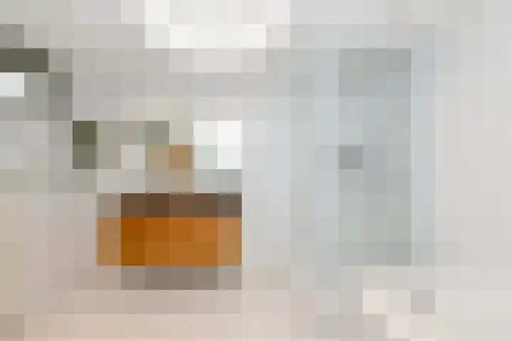 Hoevelaan 5 Monster thumbnail 26