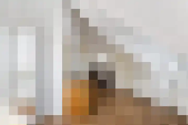 Hoevelaan 5 Monster thumbnail 35