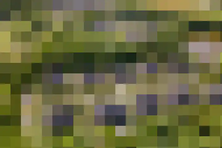 Hoevelaan 5 Monster thumbnail 39