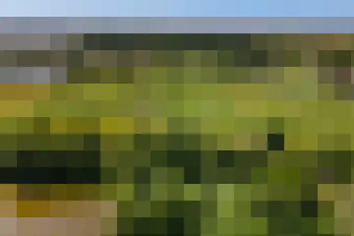Hoevelaan 5 Monster thumbnail 43