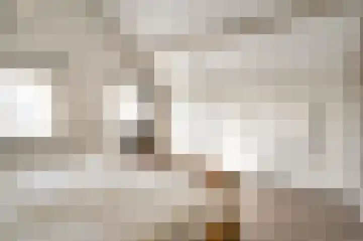 Hoeven 3 Nederweert-Eind thumbnail 27