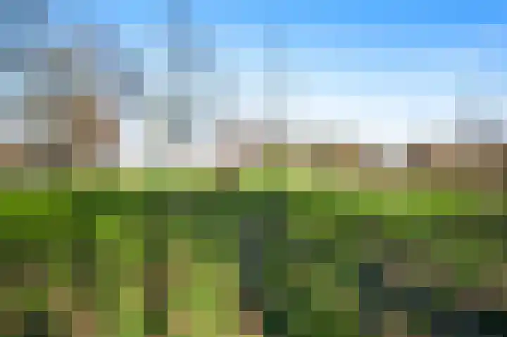 Hoeven 3 Nederweert-Eind thumbnail 42