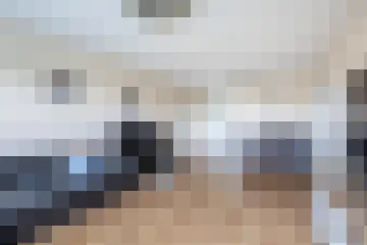 Hoevenbos 306 Zoetermeer thumbnail 15