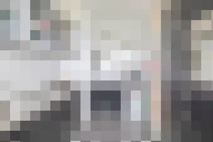 Hoevenbos 306 Zoetermeer thumbnail 19