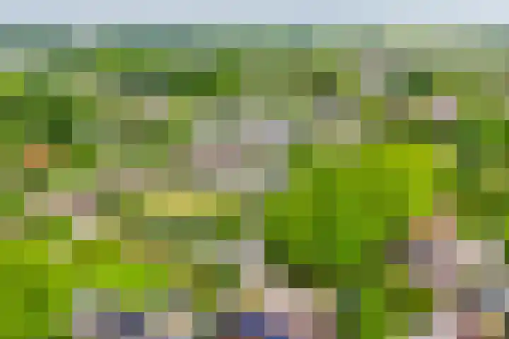 Hoevenbos 306 Zoetermeer thumbnail 33