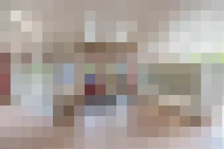 Hoevenbos 306 Zoetermeer thumbnail 6
