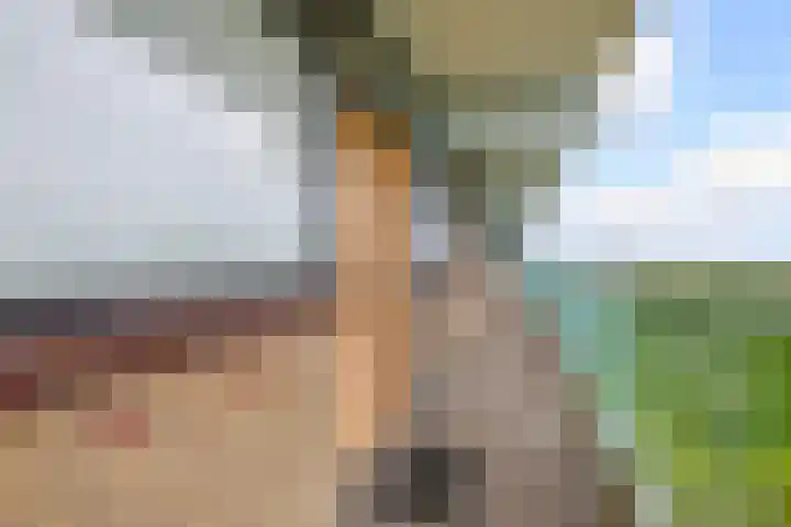 Hoevenbos 306 Zoetermeer thumbnail 8
