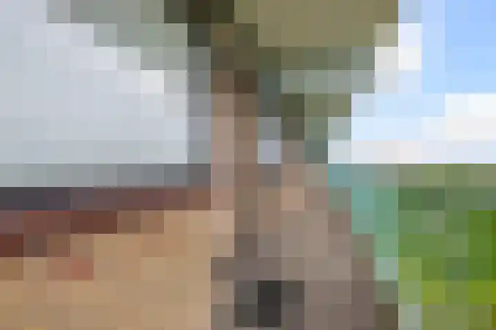 Hoevenbos 306 Zoetermeer thumbnail 9