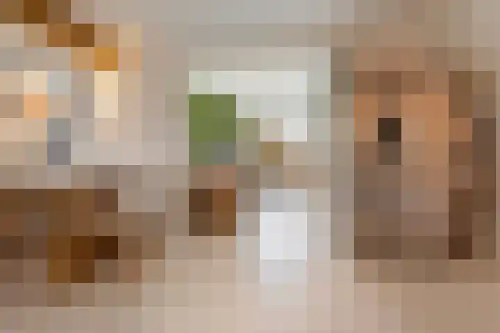 Hoevesteeg 34 Tonden thumbnail 21