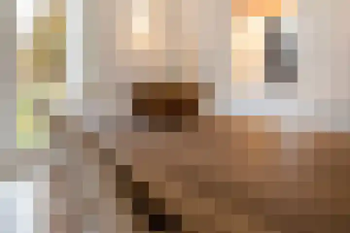 Hoevesteeg 34 Tonden thumbnail 22