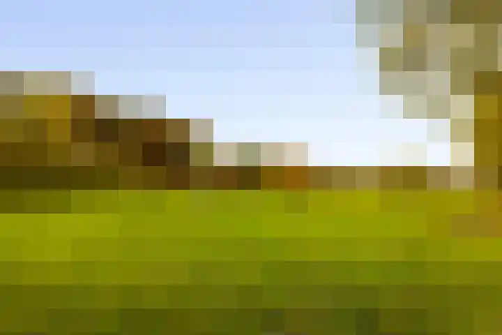 Hoevesteeg 34 Tonden thumbnail 4
