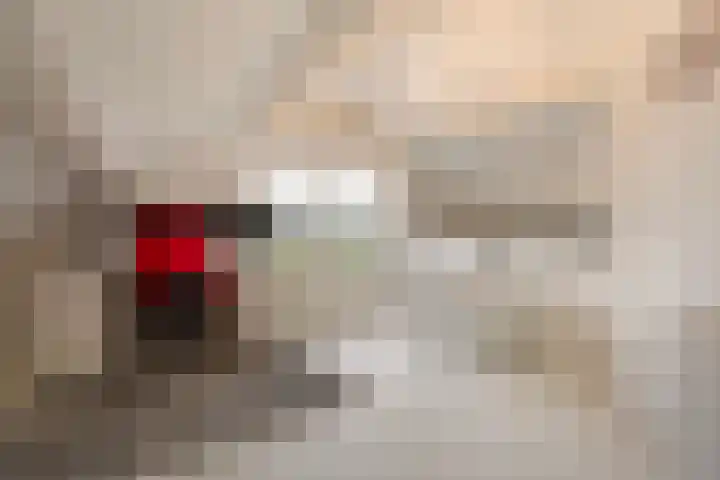 Hoevesteeg 34 Tonden thumbnail 42