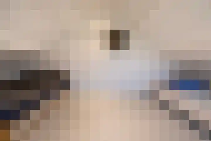 Hoevesteeg 34 Tonden thumbnail 53