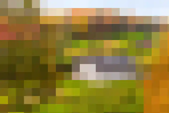 Hoevesteeg 34 Tonden thumbnail 6