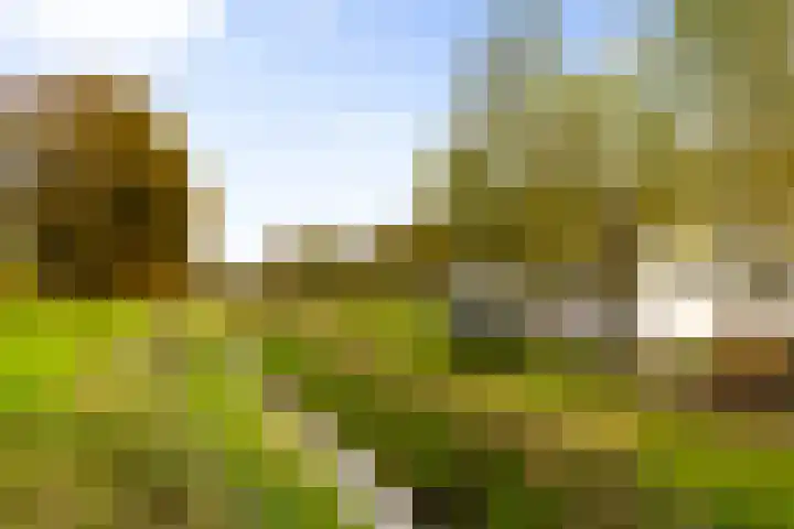 Hoevesteeg 34 Tonden thumbnail 64