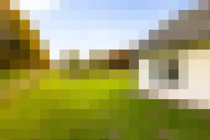 Hoevesteeg 34 Tonden thumbnail 65