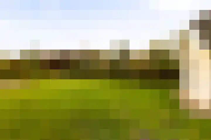 Hoevesteeg 34 Tonden thumbnail 66