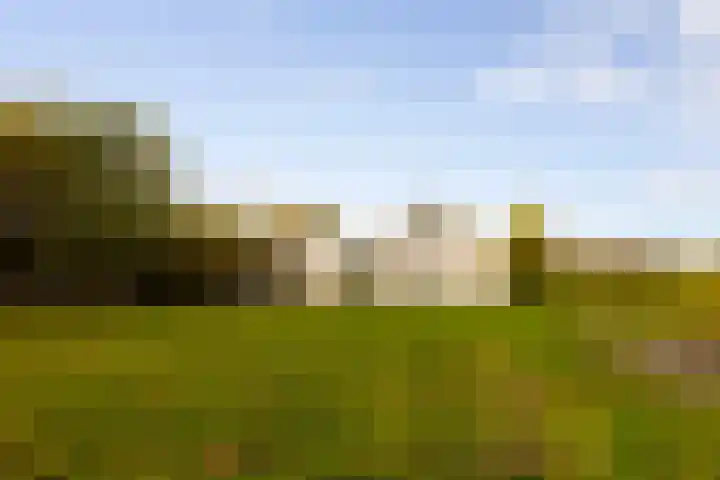 Hoevesteeg 34 Tonden thumbnail 67