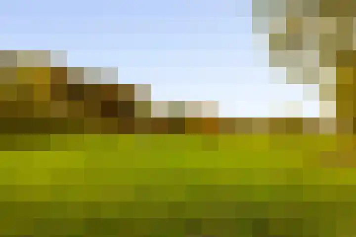 Hoevesteeg 34 Tonden thumbnail 68