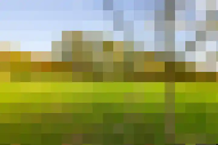 Hoevesteeg 34 Tonden thumbnail 69