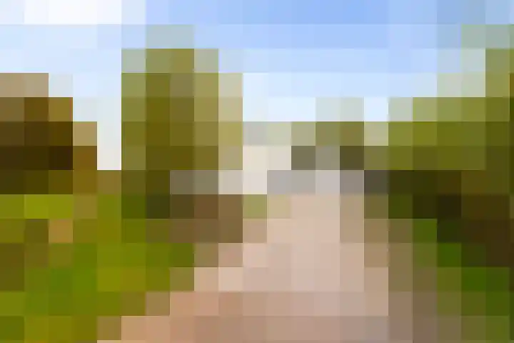Hoevesteeg 34 Tonden thumbnail 7