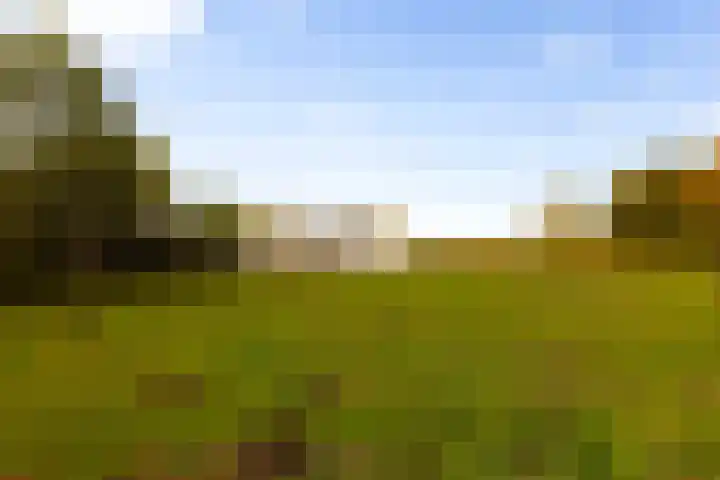 Hoevesteeg 34 Tonden thumbnail 71