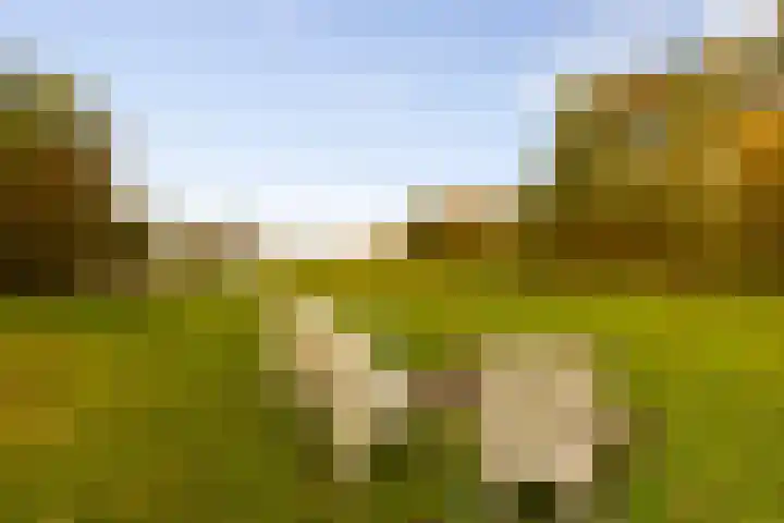 Hoevesteeg 34 Tonden thumbnail 72