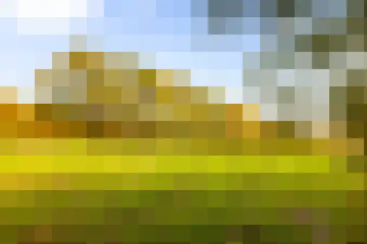 Hoevesteeg 34 Tonden thumbnail 74