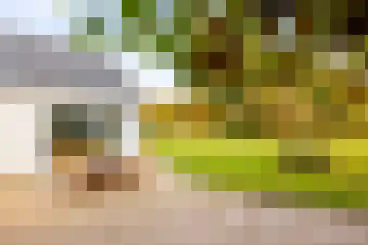 Hoevesteeg 34 Tonden thumbnail 76