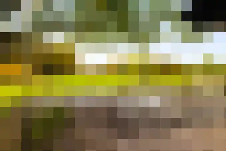 Hoevesteeg 34 Tonden thumbnail 77