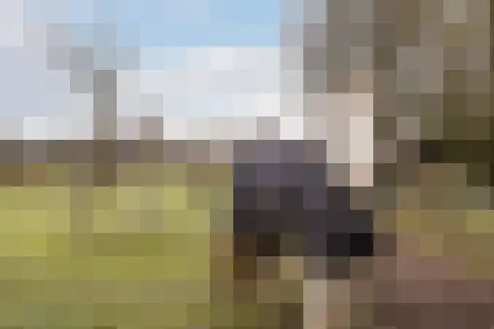 Hoevesteeg 34 Tonden thumbnail 78
