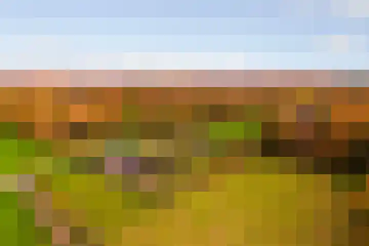 Hoevesteeg 34 Tonden thumbnail 79