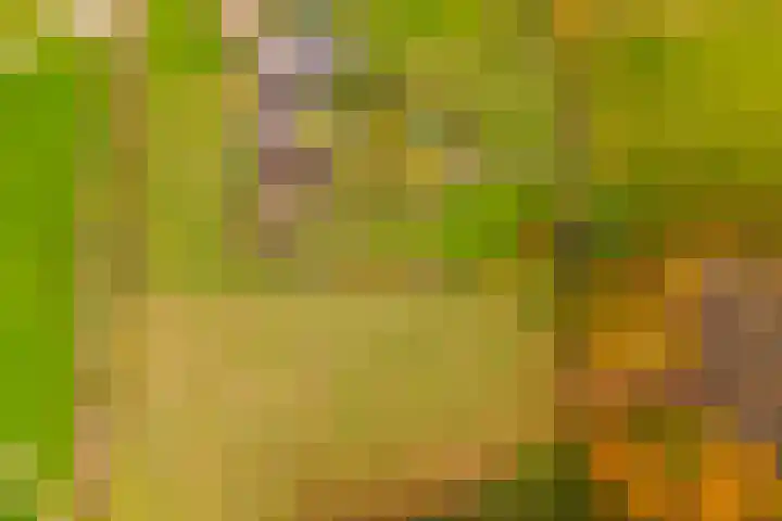 Hoevesteeg 34 Tonden thumbnail 80