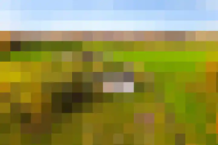 Hoevesteeg 34 Tonden thumbnail 81